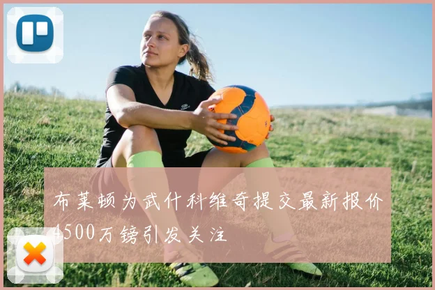 布莱顿为武什科维奇提交最新报价4500万镑引发关注